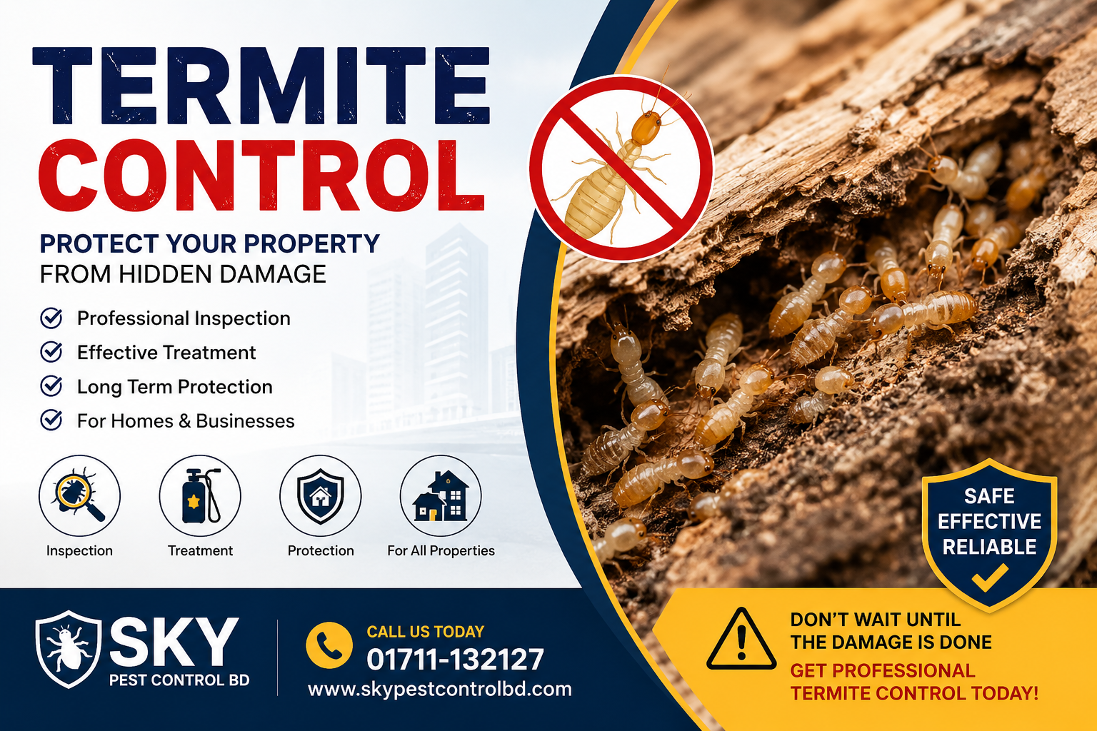 Termite control service by Sky Pest Control BD for protecting homes and businesses from termite damage